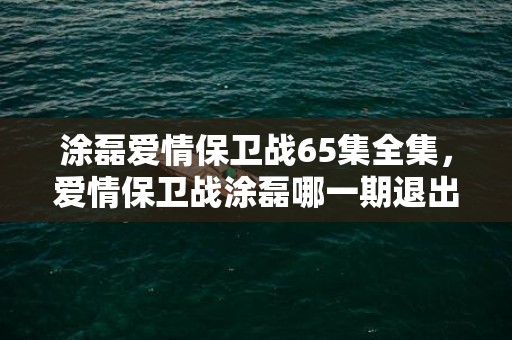 涂磊爱情保卫战65集全集，爱情保卫战涂磊哪一期退出