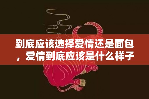 到底应该选择爱情还是面包，爱情到底应该是什么样子的