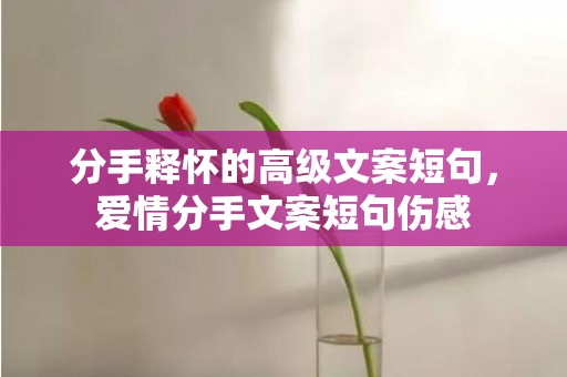 分手释怀的高级文案短句，爱情分手文案短句伤感