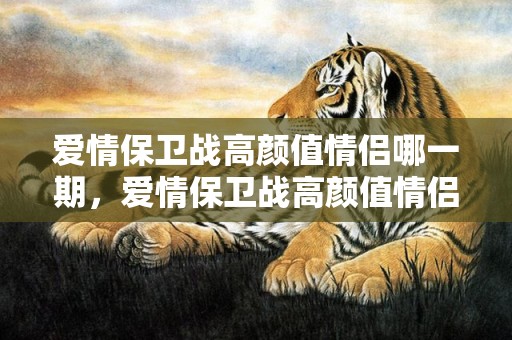 爱情保卫战高颜值情侣哪一期，爱情保卫战高颜值情侣是谁