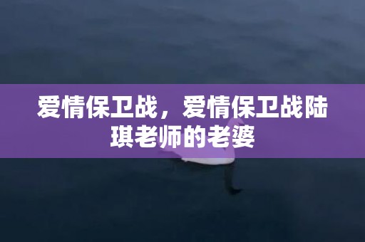 爱情保卫战，爱情保卫战陆琪老师的老婆