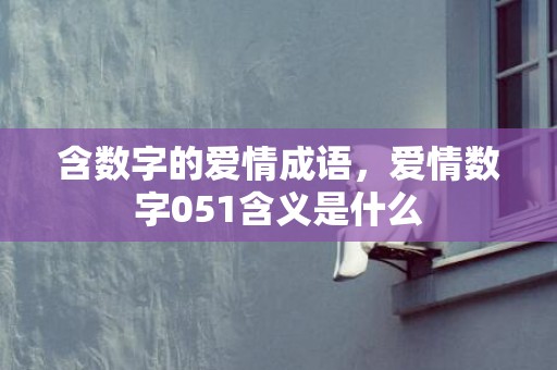 含数字的爱情成语，爱情数字051含义是什么