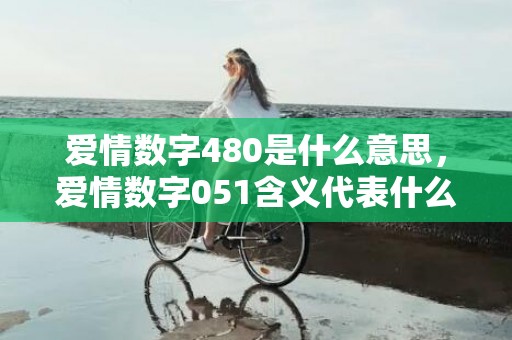 爱情数字480是什么意思，爱情数字051含义代表什么