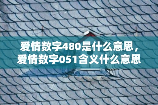爱情数字480是什么意思，爱情数字051含义什么意思