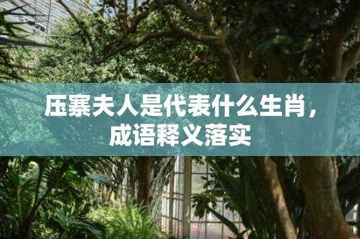 压寨夫人是代表什么生肖，成语释义落实