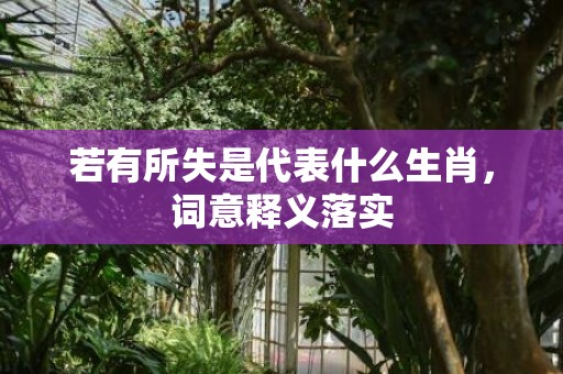 若有所失是代表什么生肖，词意释义落实