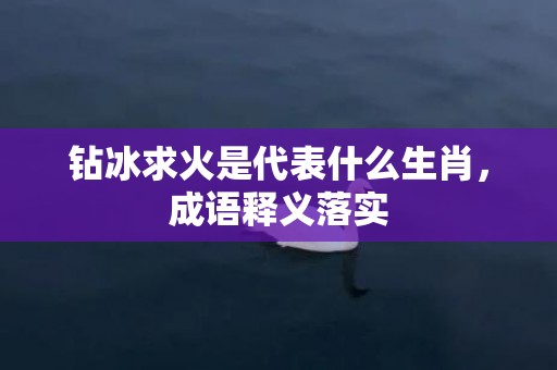 钻冰求火是代表什么生肖，成语释义落实