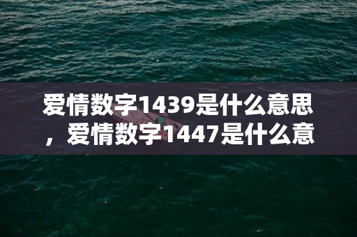 爱情数字1439是什么意思，爱情数字1447是什么意思