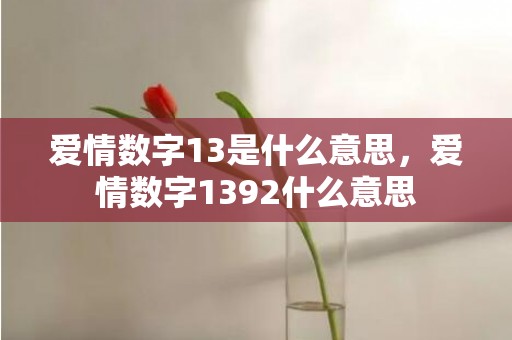 爱情数字13是什么意思，爱情数字1392什么意思