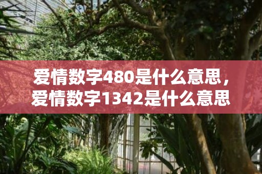爱情数字480是什么意思，爱情数字1342是什么意思