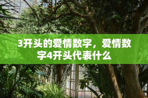 3开头的爱情数字，爱情数字4开头代表什么