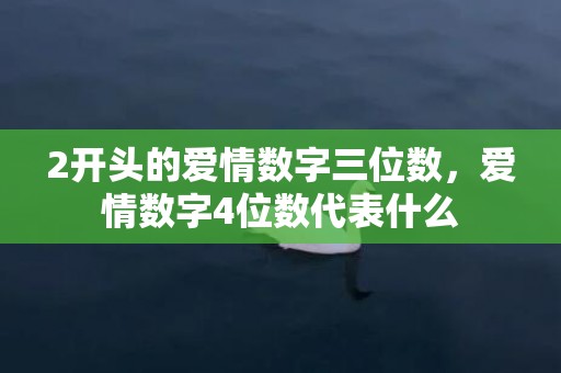 2开头的爱情数字三位数，爱情数字4位数代表什么
