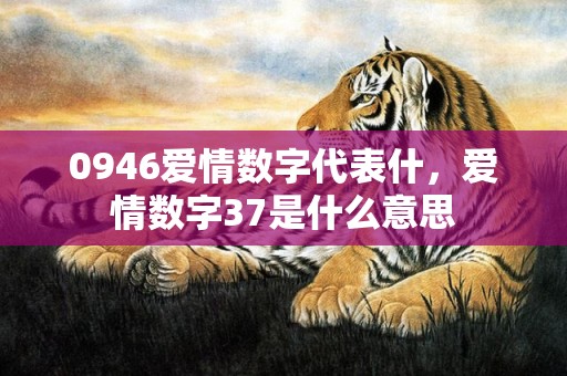 0946爱情数字代表什，爱情数字37是什么意思