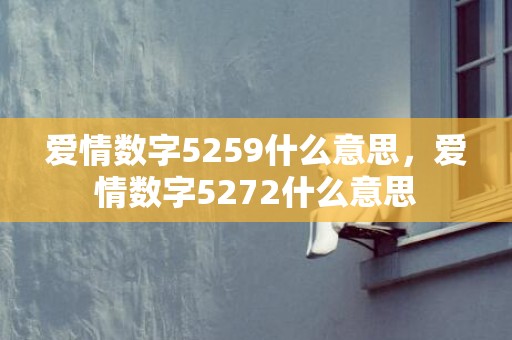 爱情数字5259什么意思，爱情数字5272什么意思