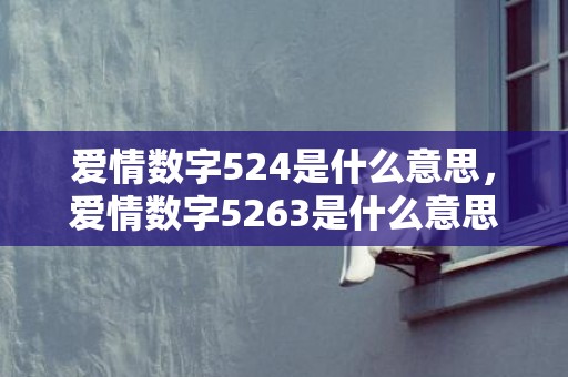 爱情数字524是什么意思，爱情数字5263是什么意思