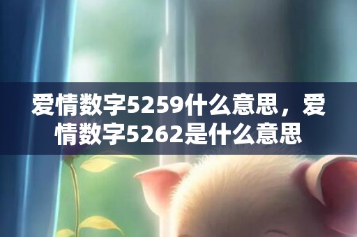 爱情数字5259什么意思，爱情数字5262是什么意思