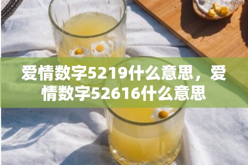 爱情数字5219什么意思，爱情数字52616什么意思