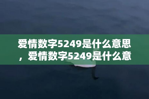 爱情数字5249是什么意思，爱情数字5249是什么意思
