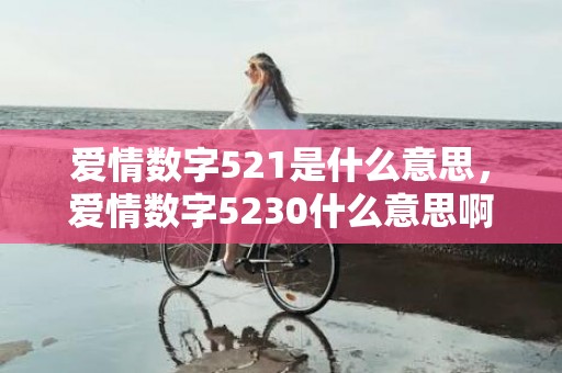 爱情数字521是什么意思，爱情数字5230什么意思啊