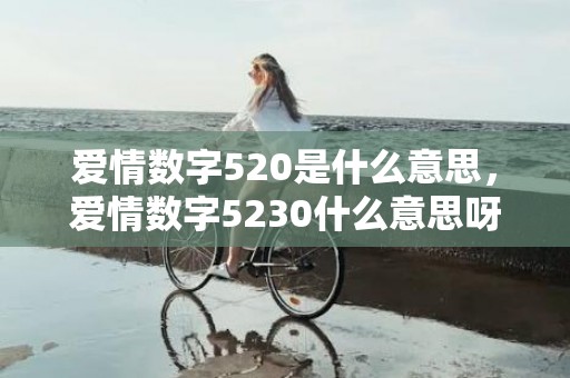 爱情数字520是什么意思，爱情数字5230什么意思呀