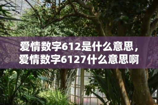 爱情数字612是什么意思，爱情数字6127什么意思啊