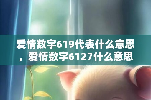 爱情数字619代表什么意思，爱情数字6127什么意思呀
