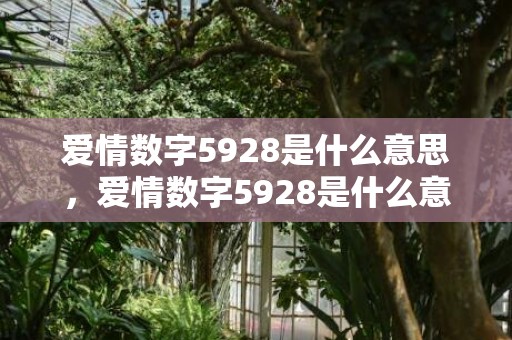 爱情数字5928是什么意思，爱情数字5928是什么意思
