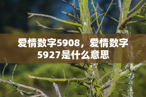 爱情数字5908，爱情数字5927是什么意思