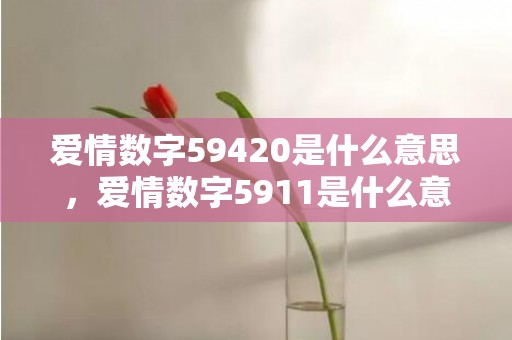 爱情数字59420是什么意思，爱情数字5911是什么意思