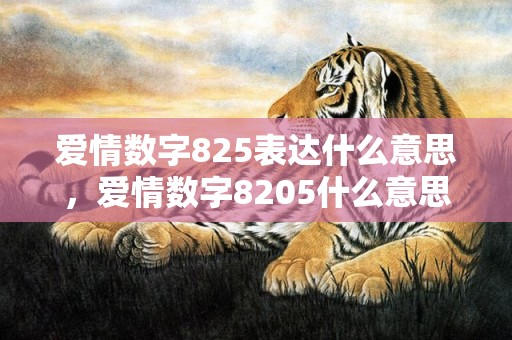 爱情数字825表达什么意思，爱情数字8205什么意思
