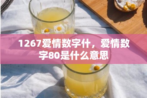 1267爱情数字什，爱情数字80是什么意思