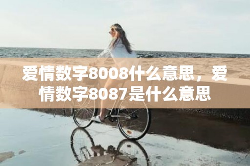 爱情数字8008什么意思，爱情数字8087是什么意思