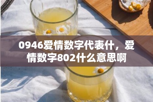 0946爱情数字代表什，爱情数字802什么意思啊