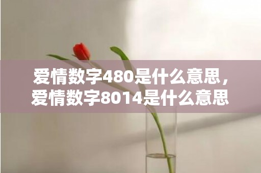 爱情数字480是什么意思，爱情数字8014是什么意思
