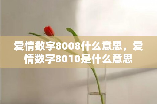 爱情数字8008什么意思，爱情数字8010是什么意思