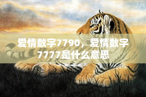 爱情数字7790，爱情数字7777是什么意思