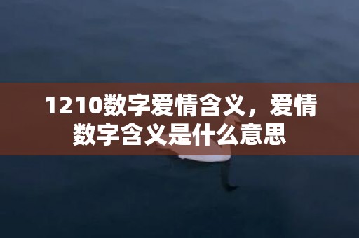 1210数字爱情含义，爱情数字含义是什么意思