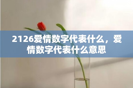 2126爱情数字代表什么，爱情数字代表什么意思