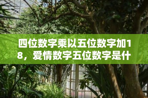 四位数字乘以五位数字加18，爱情数字五位数字是什么