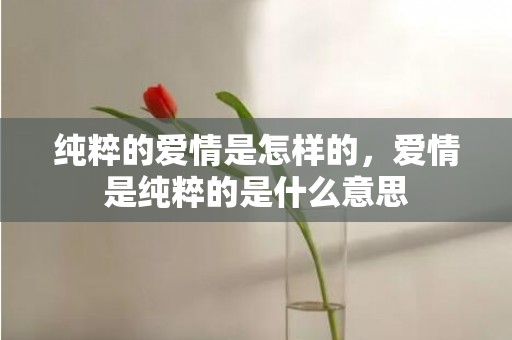纯粹的爱情是怎样的，爱情是纯粹的是什么意思