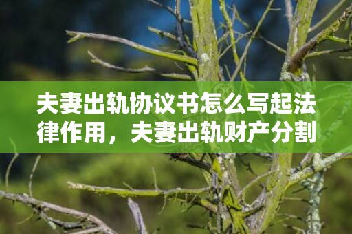 夫妻出轨协议书怎么写起法律作用，夫妻出轨财产分割有效吗（夫妻双方出轨财产如何分割）