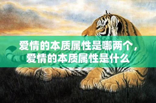 爱情的本质属性是哪两个，爱情的本质属性是什么