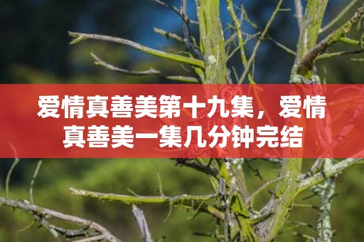 爱情真善美第十九集，爱情真善美一集几分钟完结