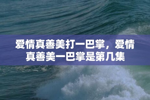 爱情真善美打一巴掌，爱情真善美一巴掌是第几集