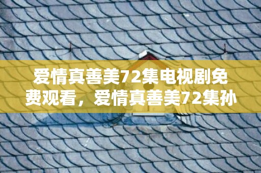 爱情真善美72集电视剧免费观看，爱情真善美72集孙晓菁结局