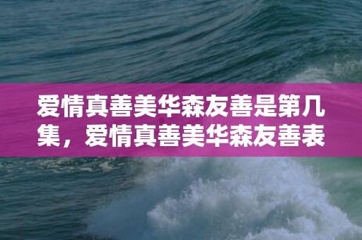爱情真善美华森友善是第几集，爱情真善美华森友善表白
