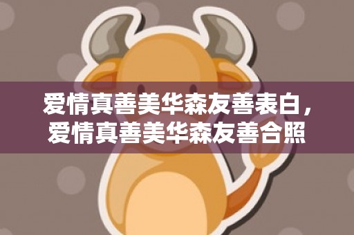 爱情真善美华森友善表白，爱情真善美华森友善合照