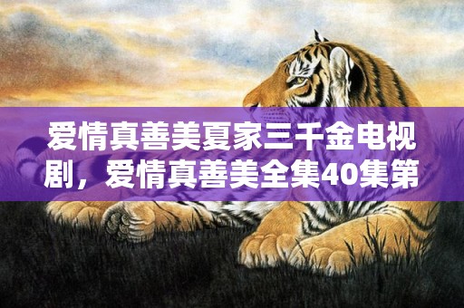 爱情真善美夏家三千金电视剧，爱情真善美全集40集第集