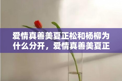 爱情真善美夏正松和杨柳为什么分开，爱情真善美夏正松妻子吵架