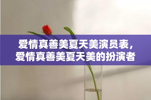 爱情真善美夏天美演员表，爱情真善美夏天美的扮演者